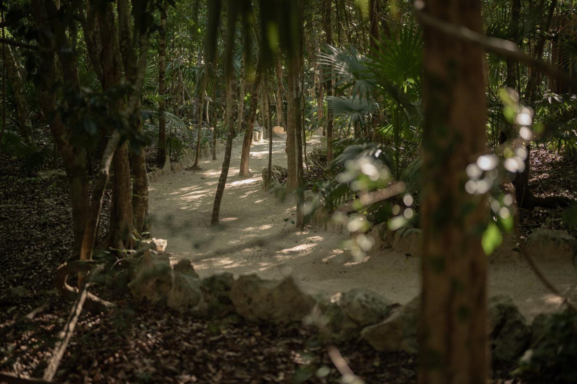 Naum - Secluded Villa With Private Cenote Tulum Exterior foto